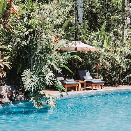 Overo Lodge & Selva 伊瓜苏港 外观 照片